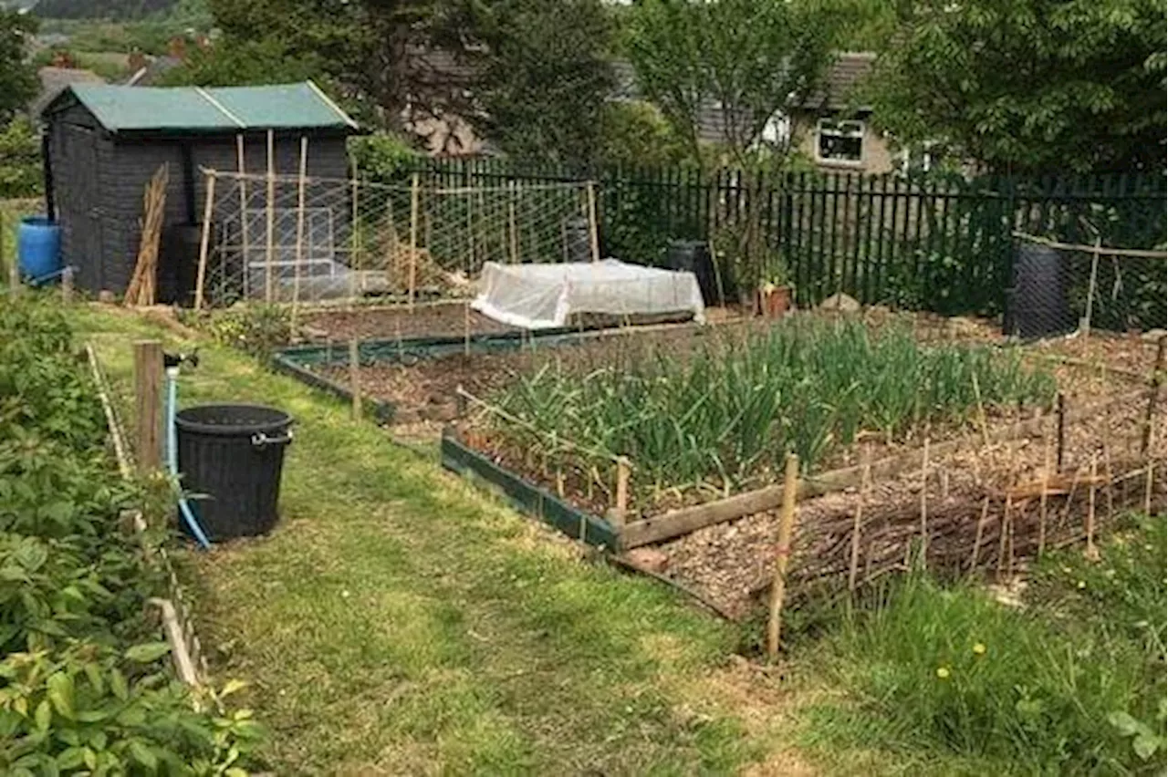 Allotment holders in Kirklees to see 600 per cent increase in fees next year