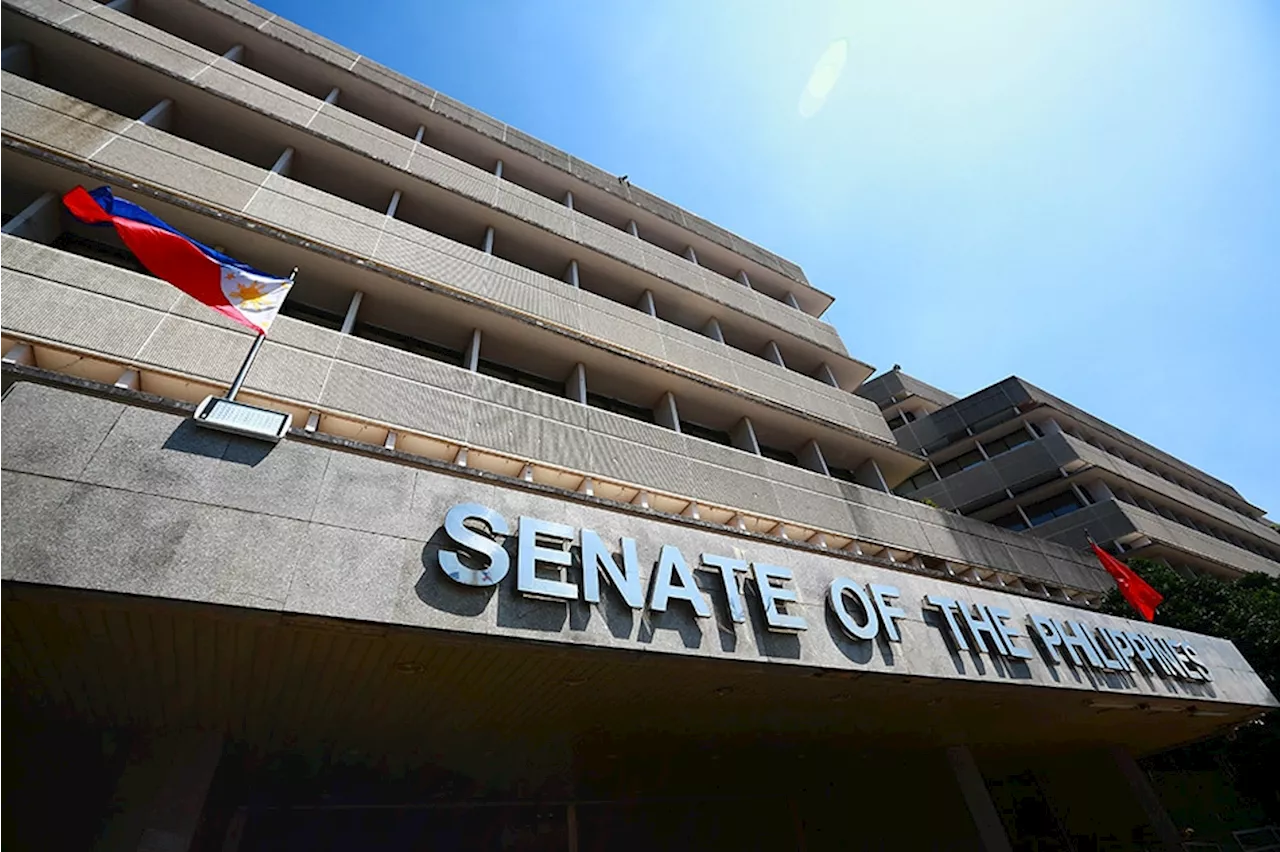 Senate removes P300M from P10B confidential, intelligence funds in 2024