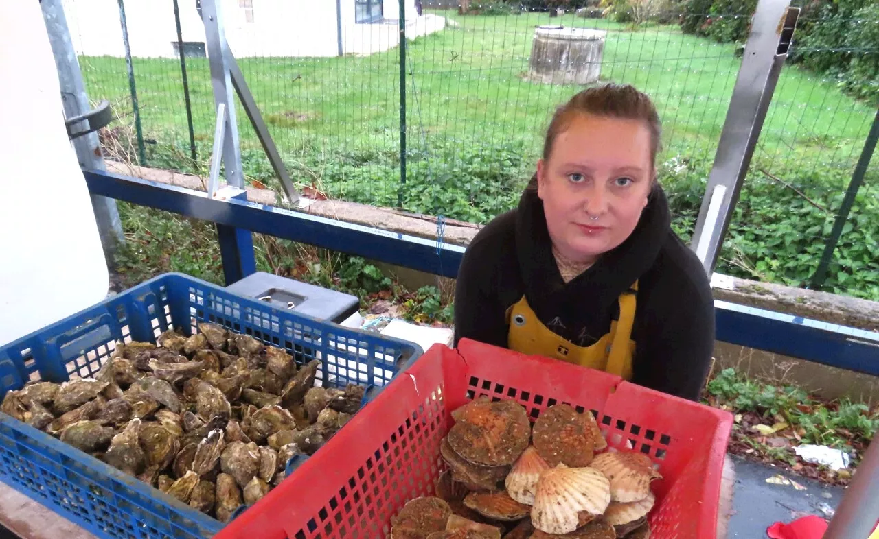 Autour de Guingamp : des coquilles Saint-Jacques, des huîtres et des praires en vente directe