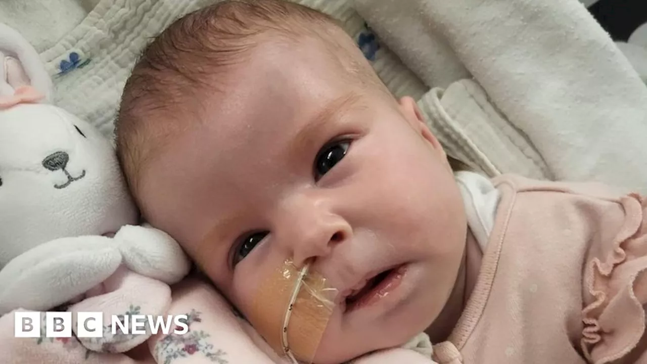 Indi Gregory: Parents lose bid to take critically ill baby home