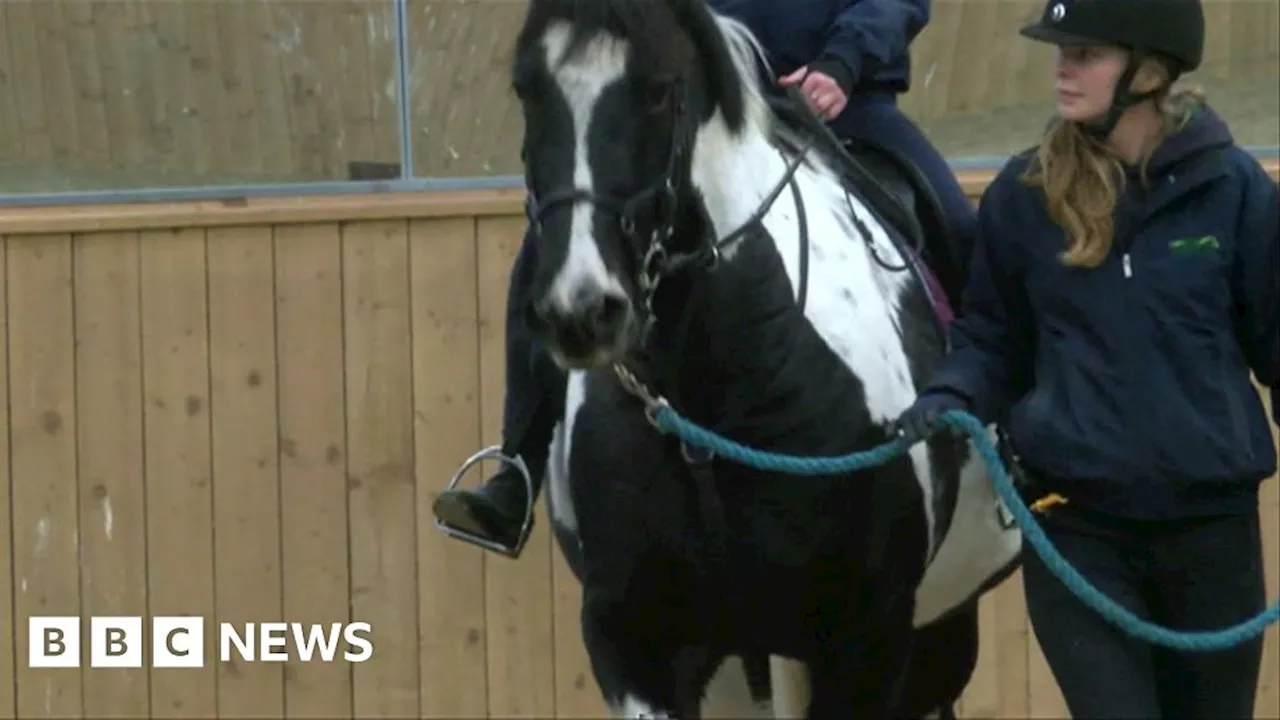 Oxfordshire horse charity HEROS helps SEN students