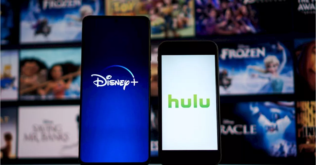 Hulu, Disney+ Combo App Gets December Beta Test; 2024 Launch Eyed