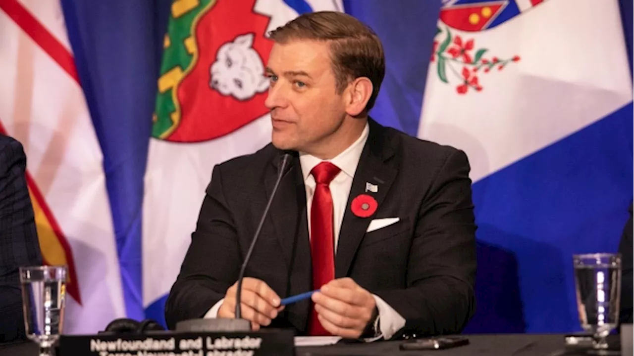 Newfoundland and Labrador to launch basic income program for residents aged 60-64