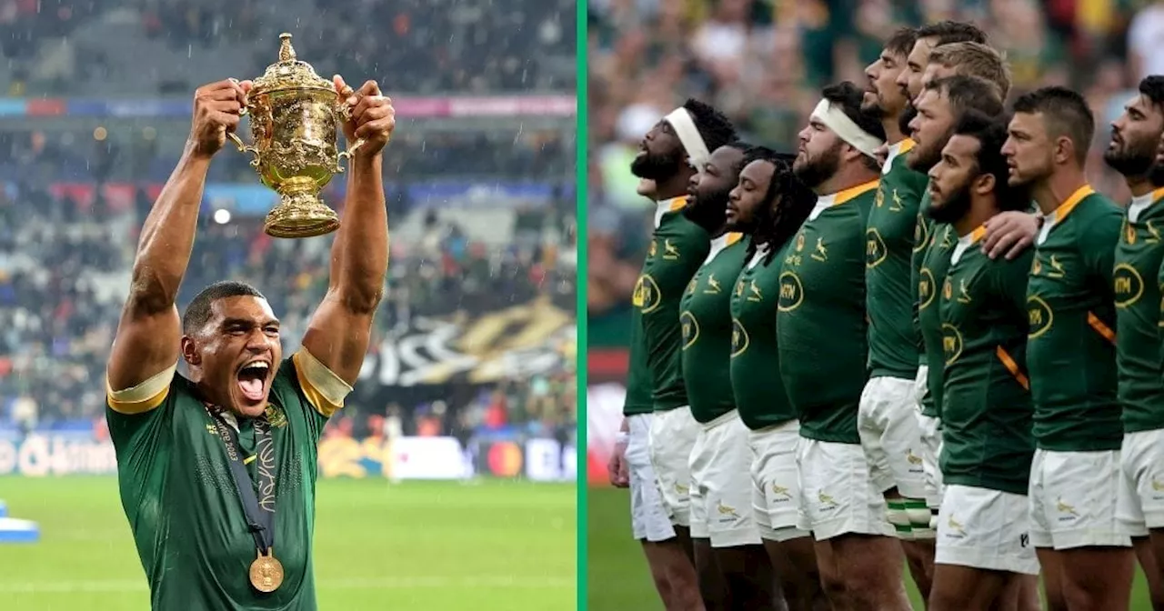 RWC Trophy Tour: Springboks Look Tired Except Damian Willemse, TikTok Video Has Mzansi Cracking Up