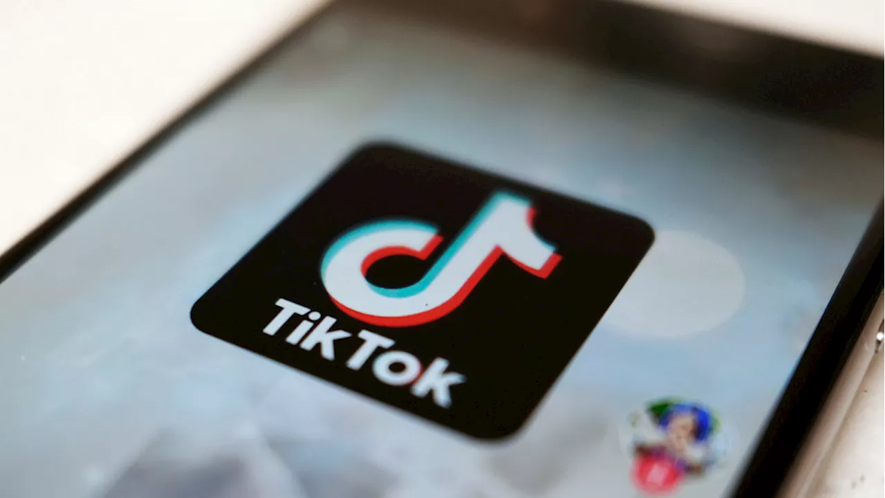 Fact Check Team: TikTok under scrutiny as pro-Palestine content dominates platform