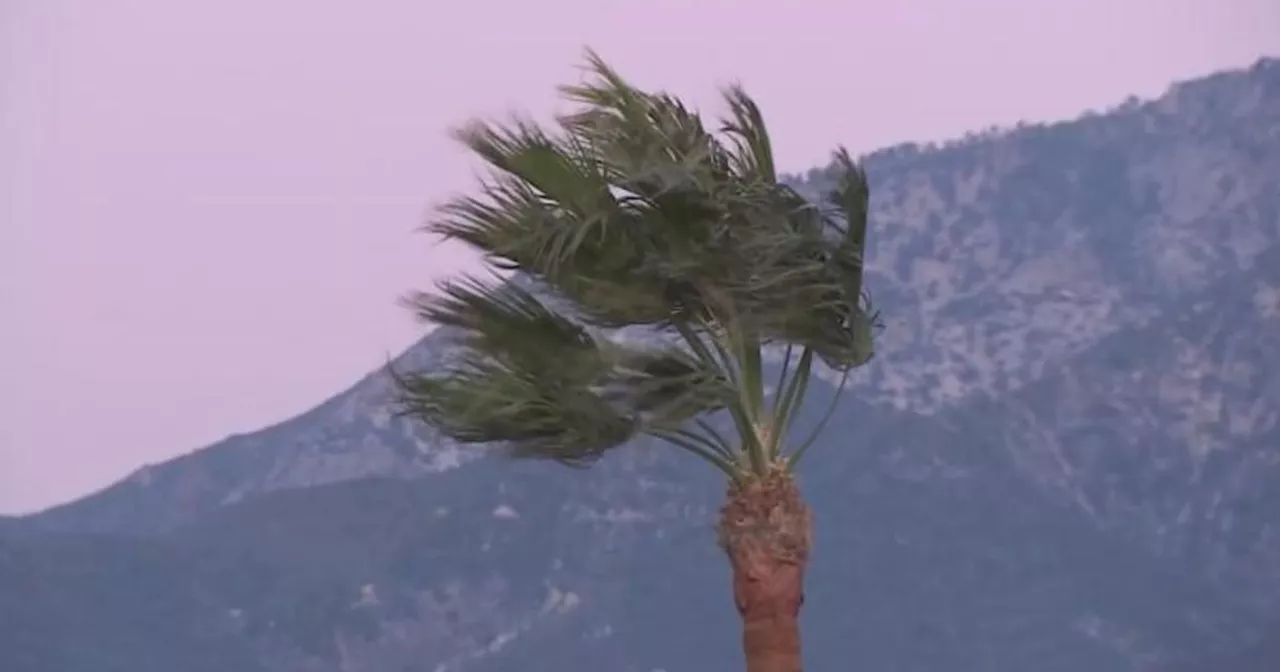 Wind advisory issued for Los Angeles County as winds reach up to 55 mph