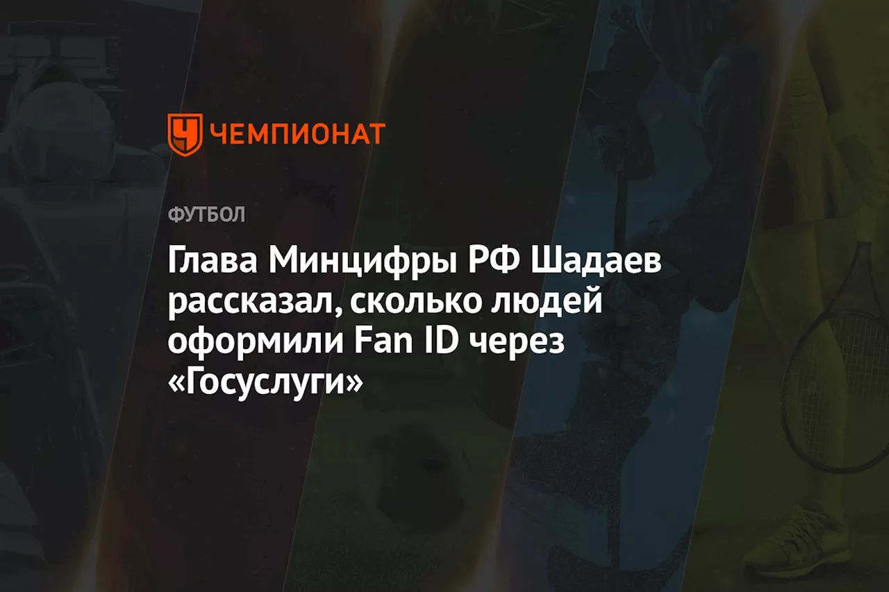 Глава Минцифры РФ Шадаев рассказал, сколько людей оформили Fan ID через «Госуслуги»