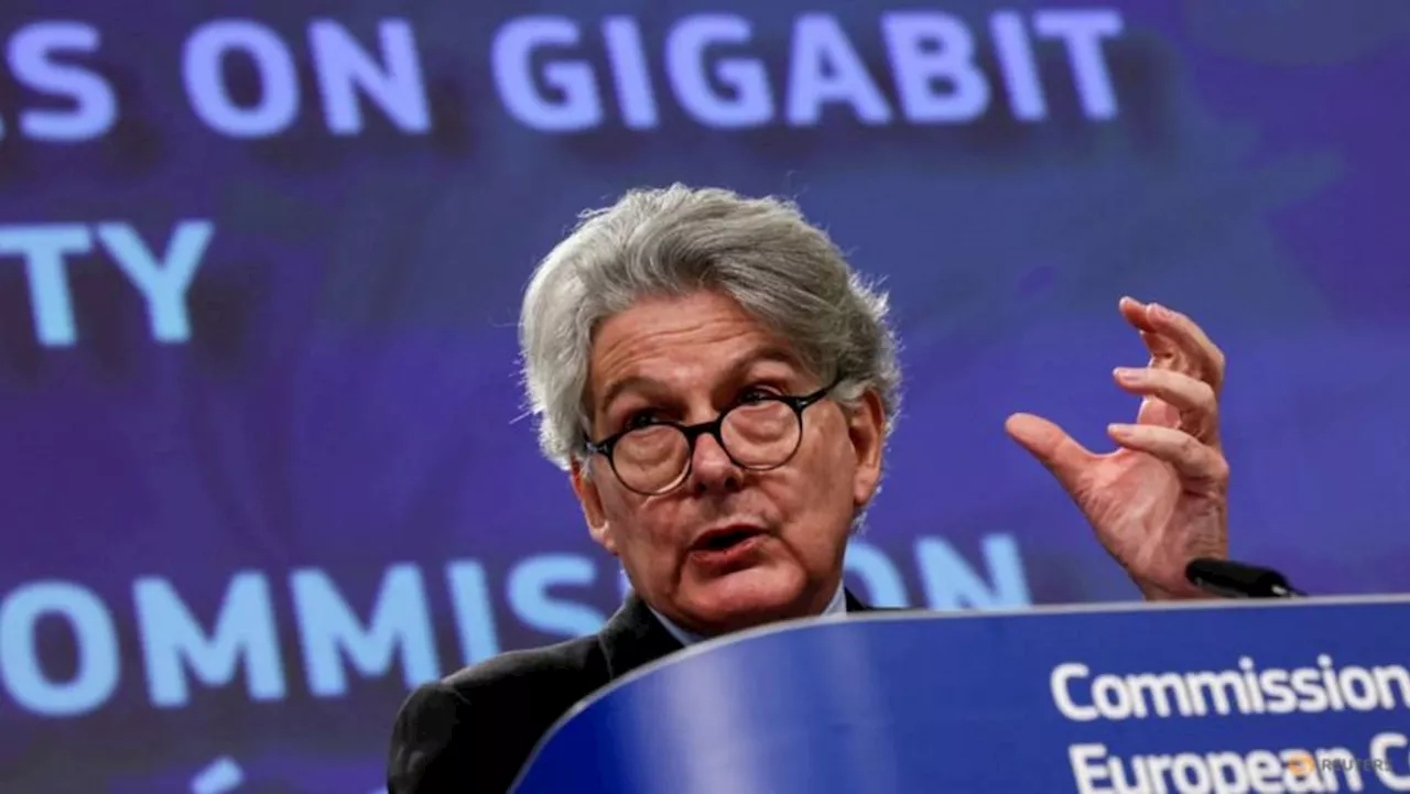 Exclusive-EU to ask YouTube, TikTok for details on measures protecting minors