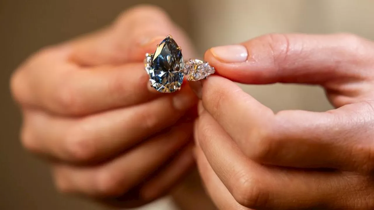 «Le meilleur de sa catégorie » : le diamant Bleu Royal adjugé à plus de 40 millions d’euros aux enchères