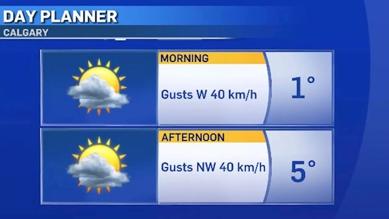 Mild temperatures continue but expect a gusty Wednesday