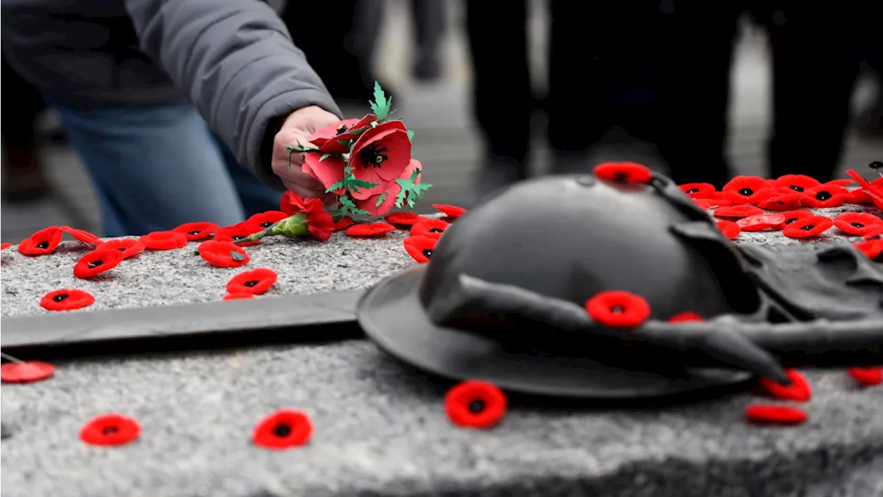 What's open and closed on Remembrance Day in Ottawa