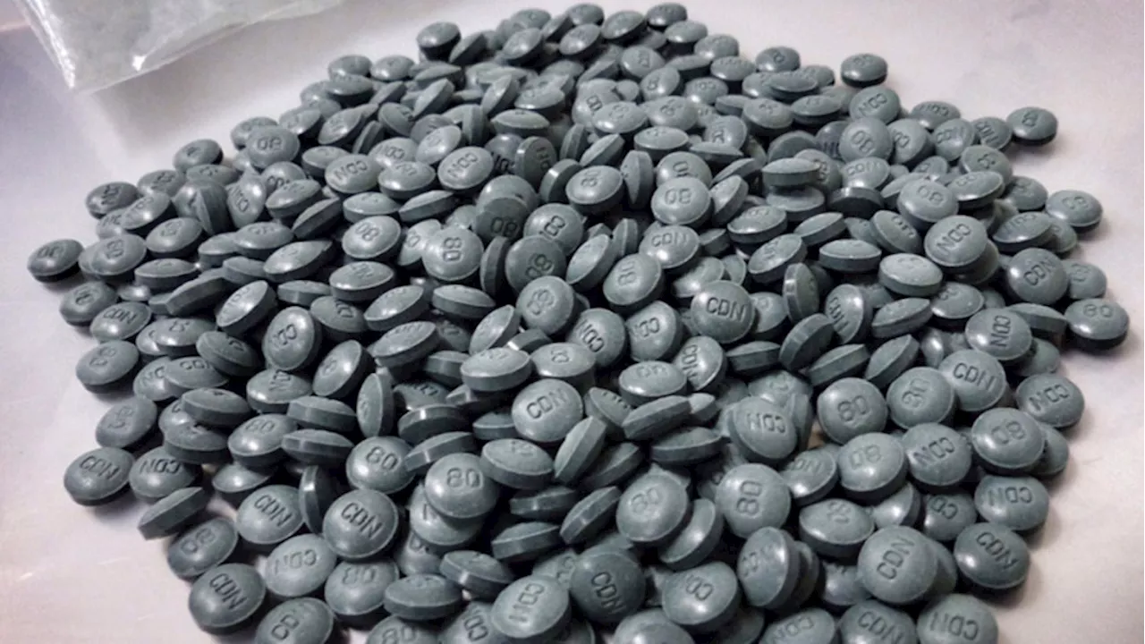 $20K in fentanyl seized from Toronto man's vehicle in Niagara area, police say