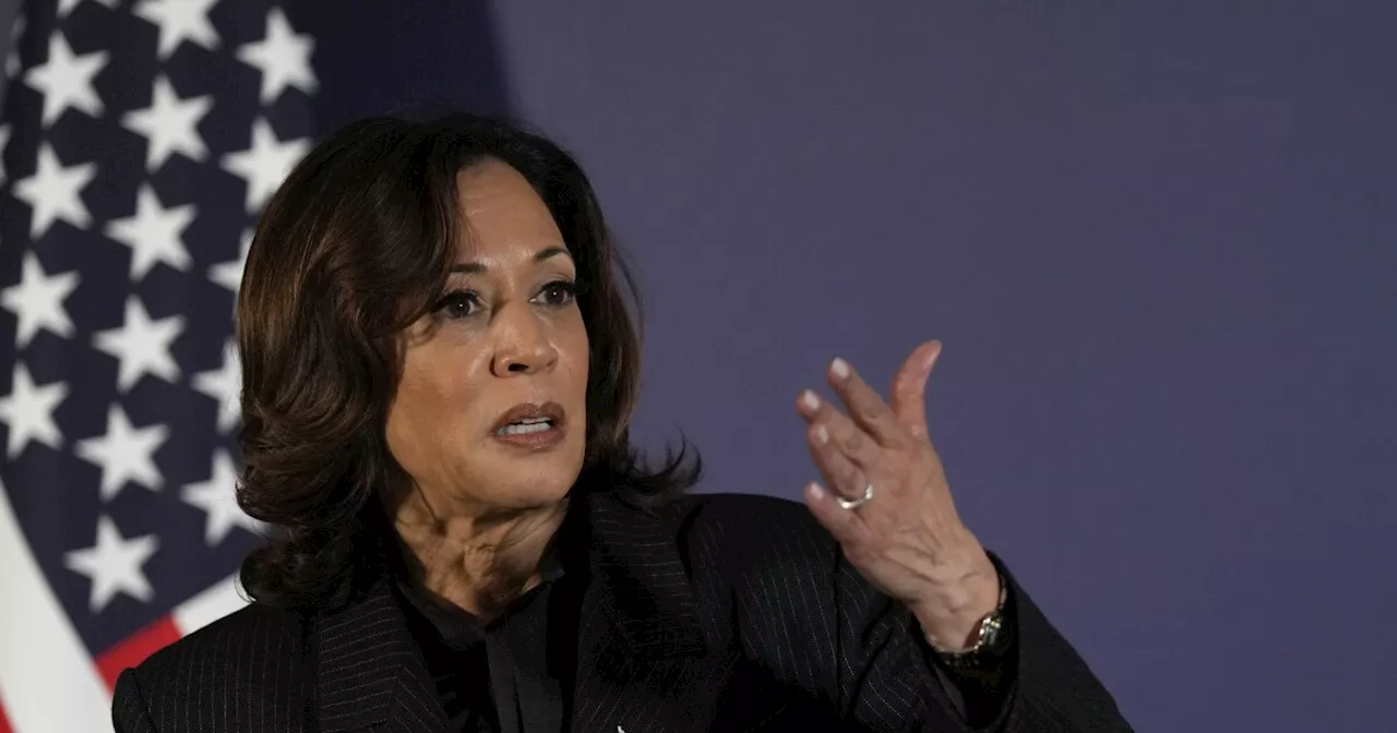 Kamala Harris brushes off concerns of Joe Biden's age ahead of 2024 election