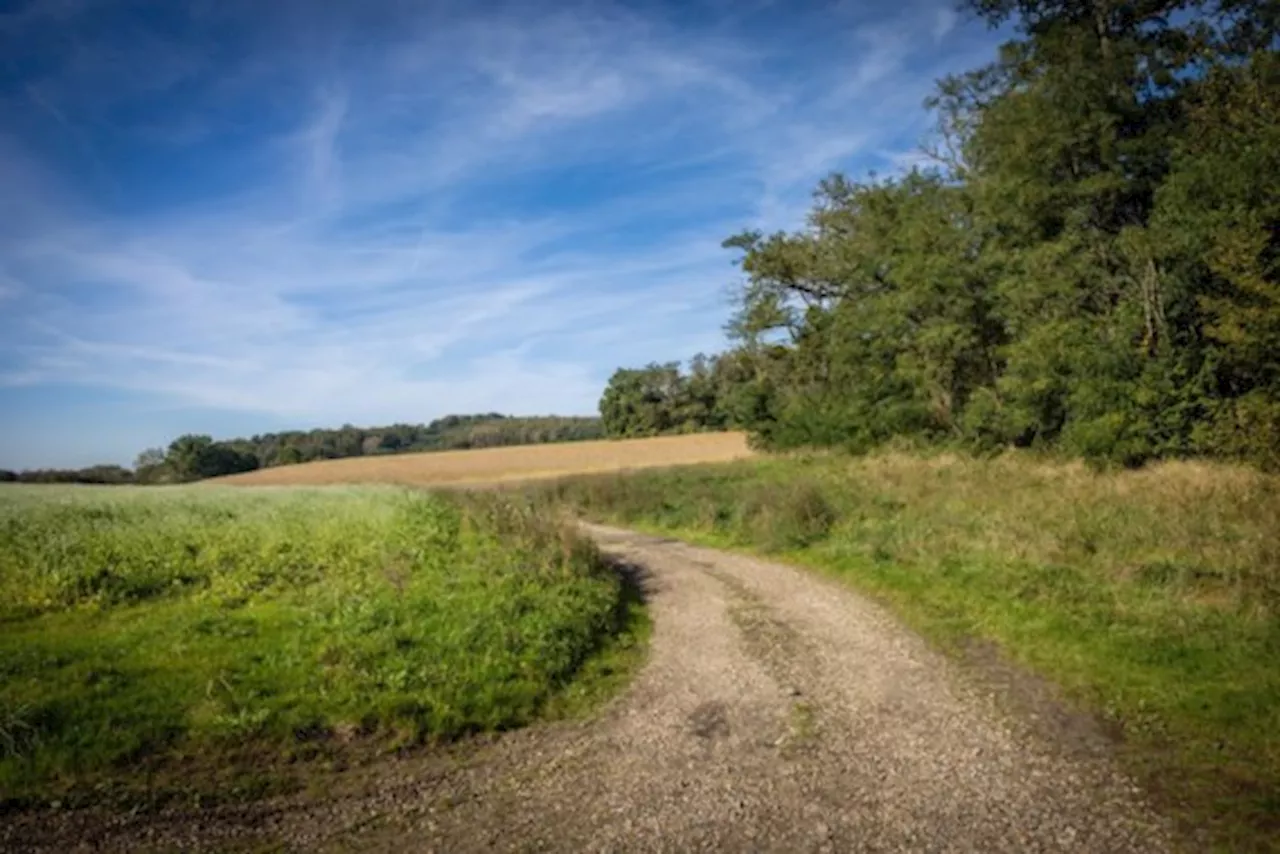 Warmste oktober zet 2023 op weg naar record