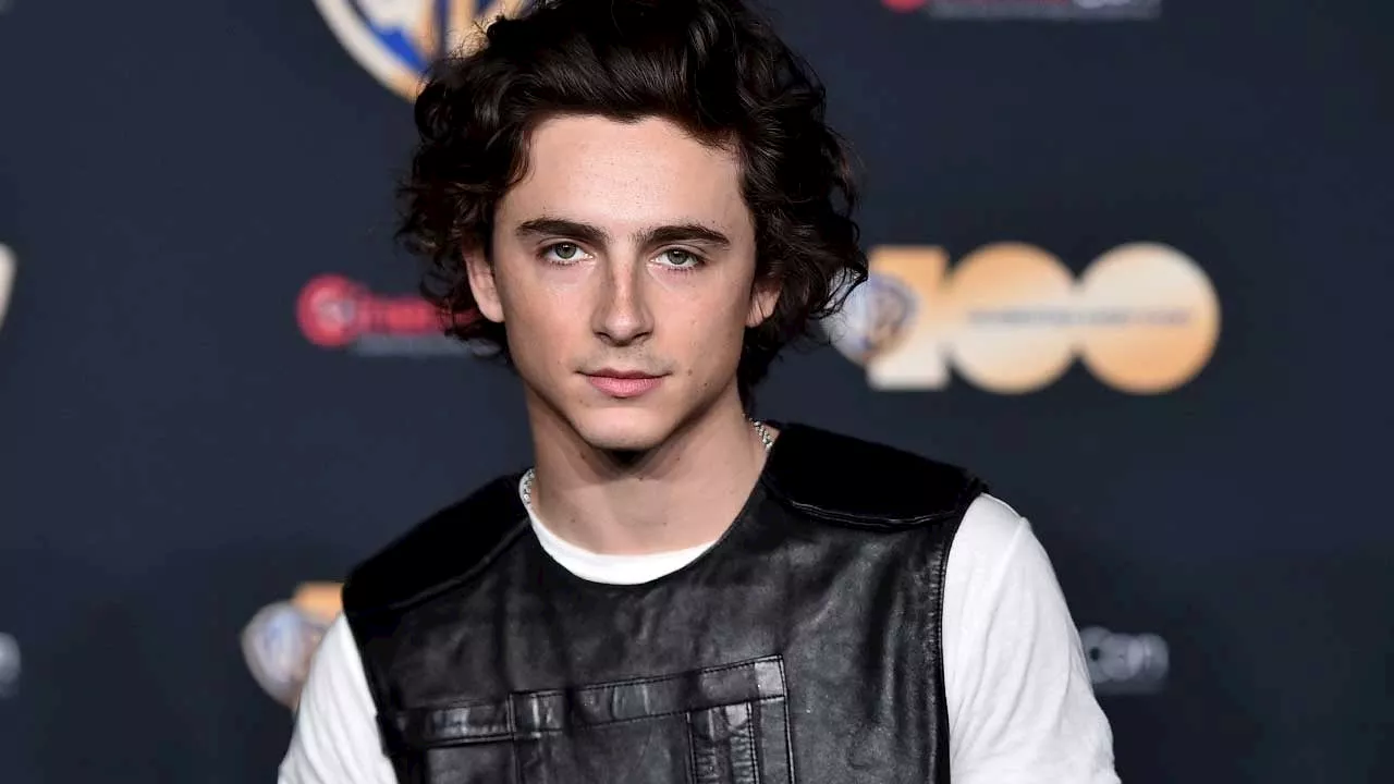 Timothée Chalamet Flexes His New York City Upbringing in 'Saturday Night Live' Promo