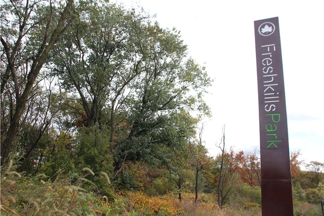 Ehemals weltgrößte Müllkippe wird in New York nun Park