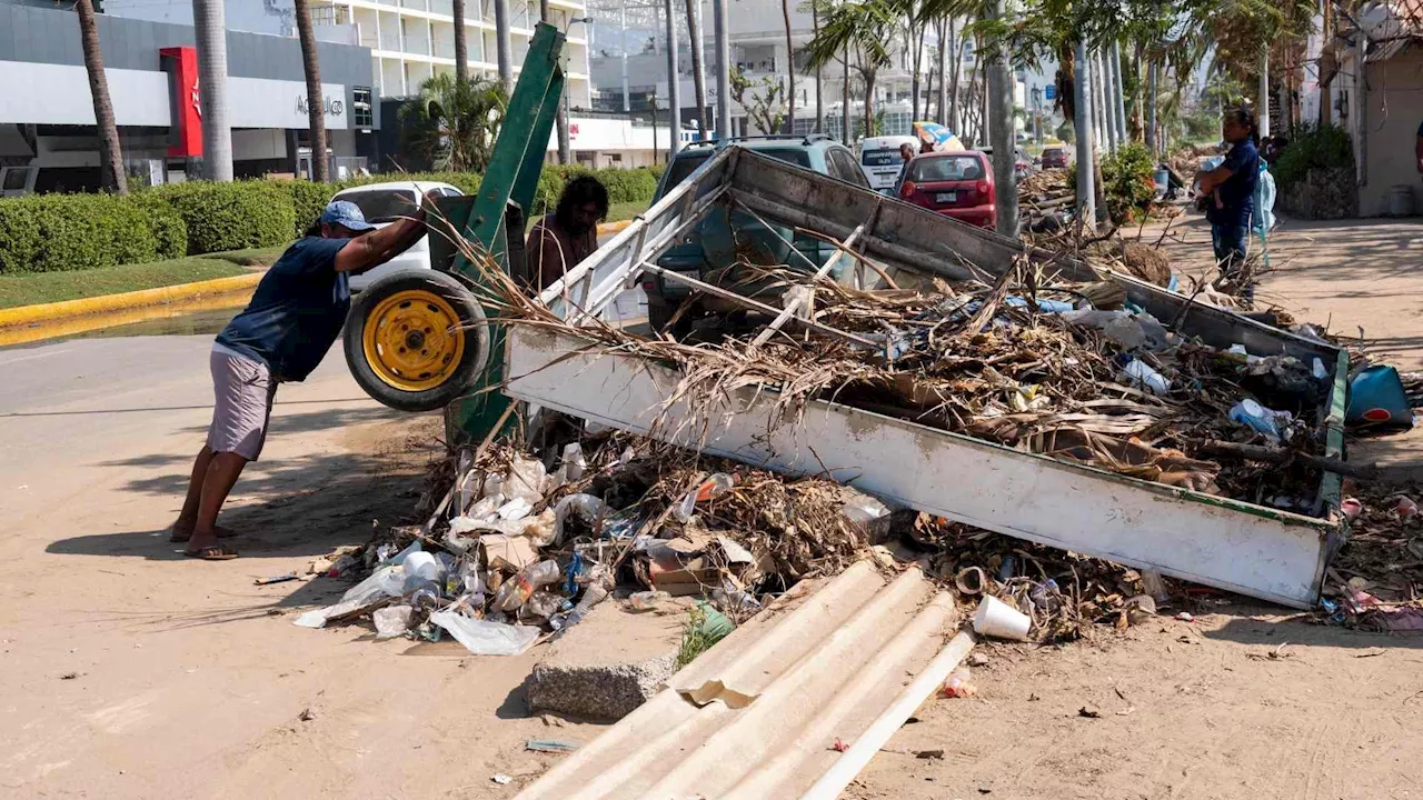 Hallan 60 Cadáveres de Perritos en Acapulco Tras Paso de Otis