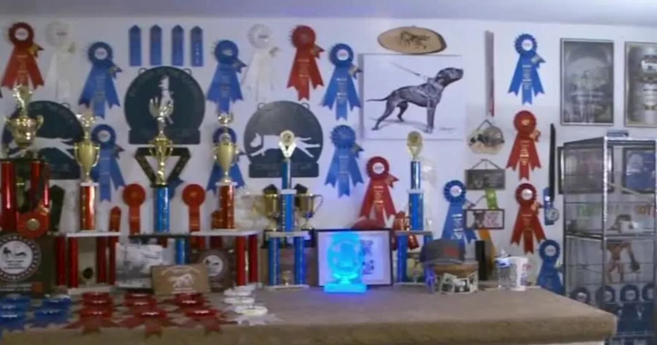 Dog show competitors react to deadly pit bull attack that killed Taylorsville woman