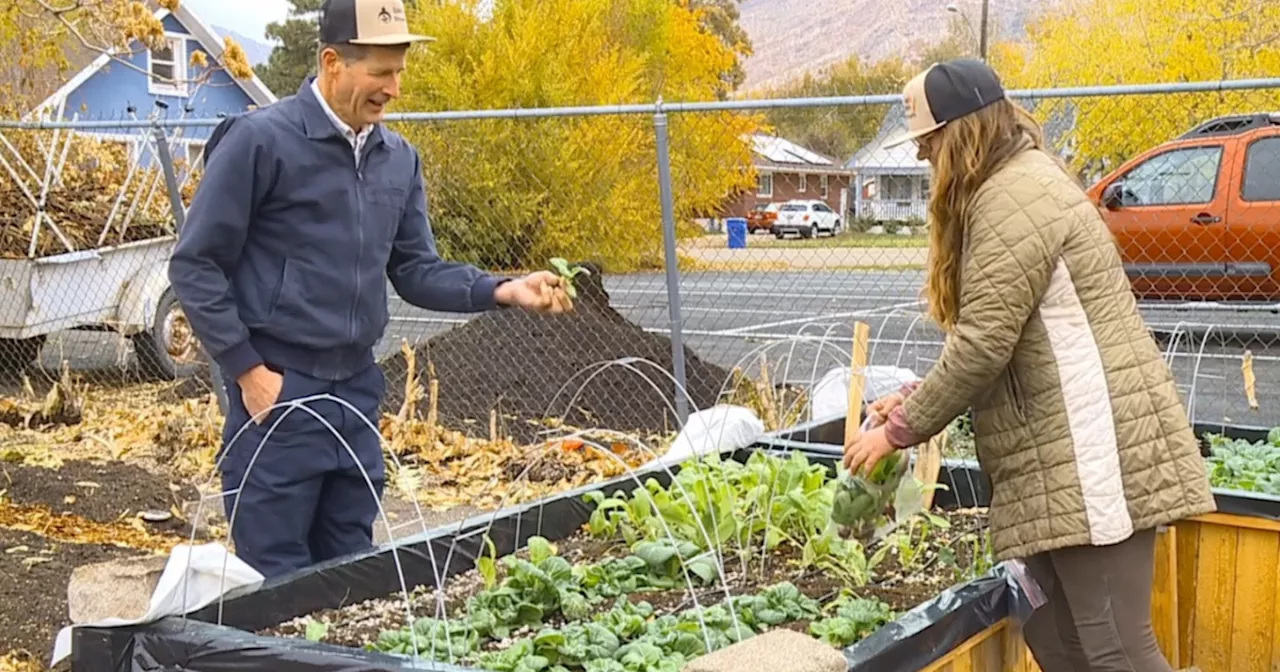 Ogden farm provides fresh food, fresh start for homeless community