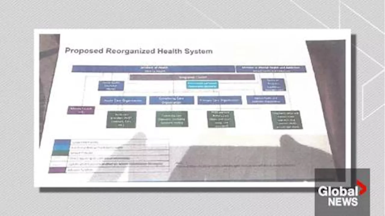 Leaked slides reveal UCP’s plan for Alberta health-care system | Watch News Videos Online