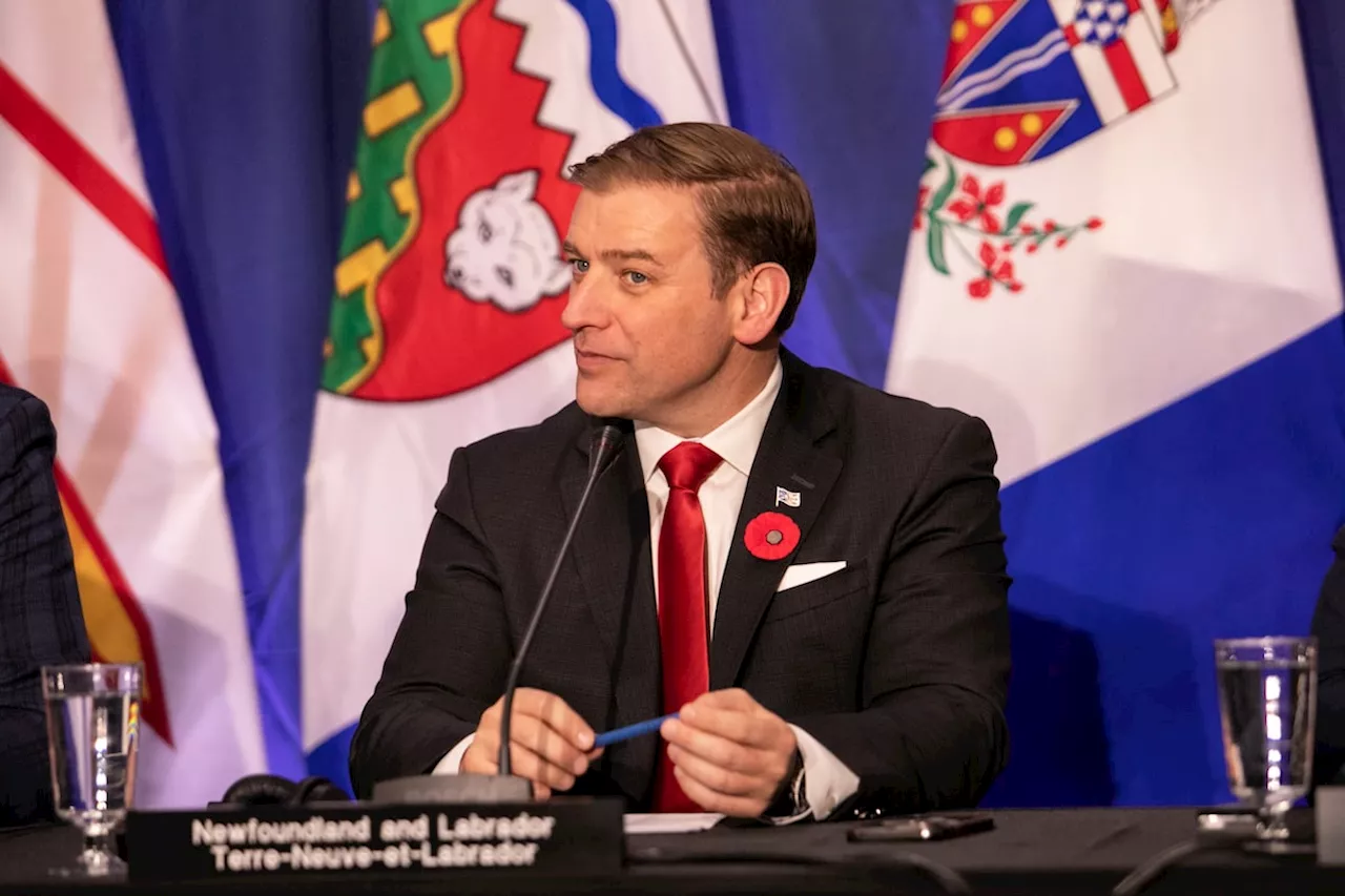 Newfoundland and Labrador to launch basic income program for residents aged 60-64