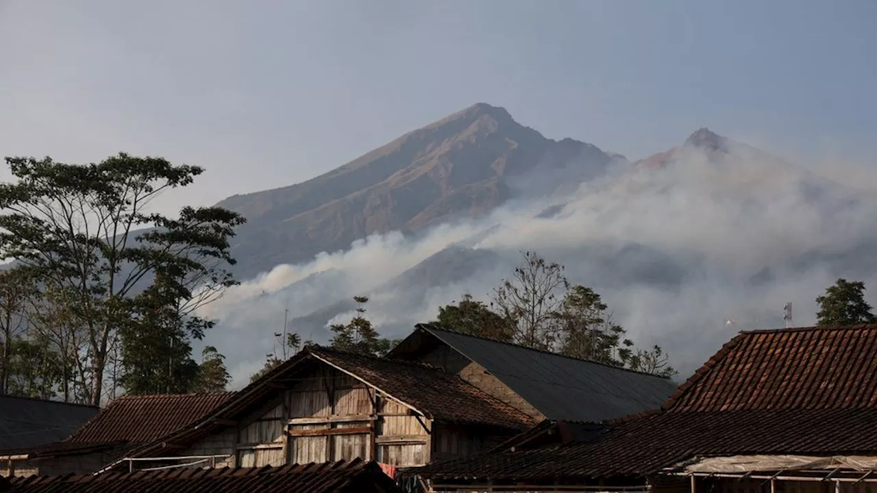 Fires hit forests and land in conservation areas