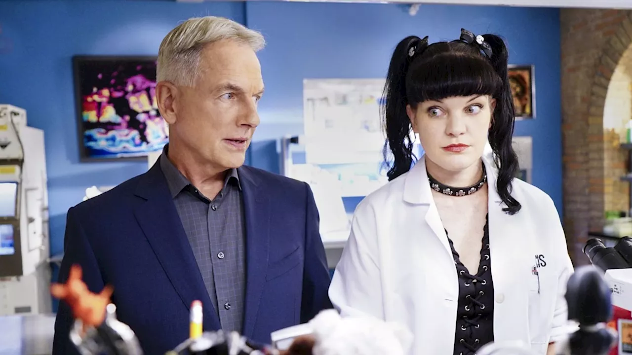 NCIS boss reveals true feelings on Pauley Perrette's run on show – and its influence on long-awaited spin-off