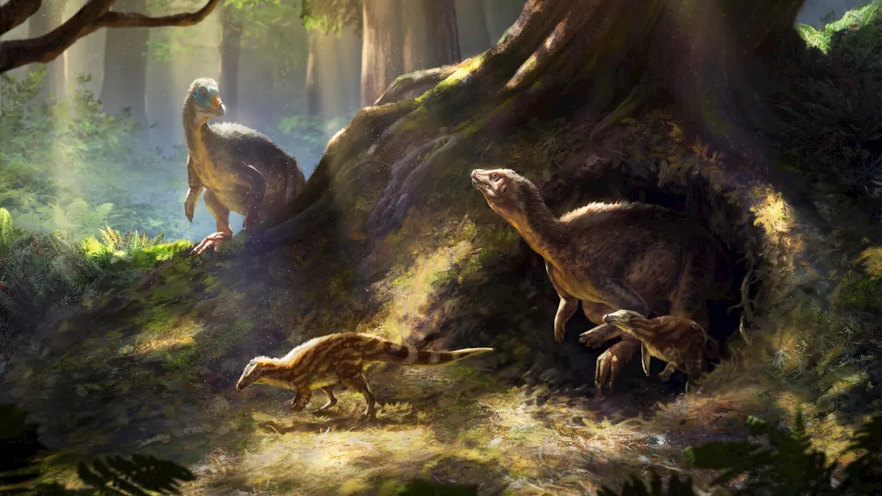 Fossils reveal ‘neglected’ dinosaur with super senses lived underground