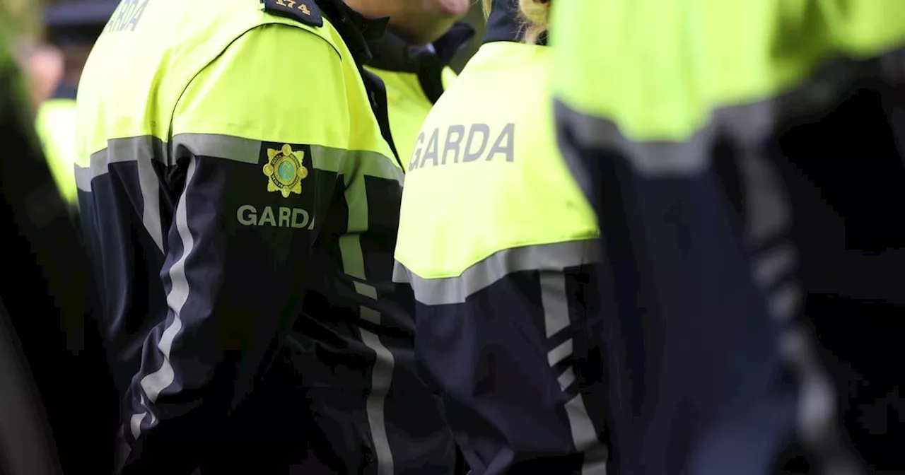 Garda suspensions halve this year after rising between 2018 and 2022