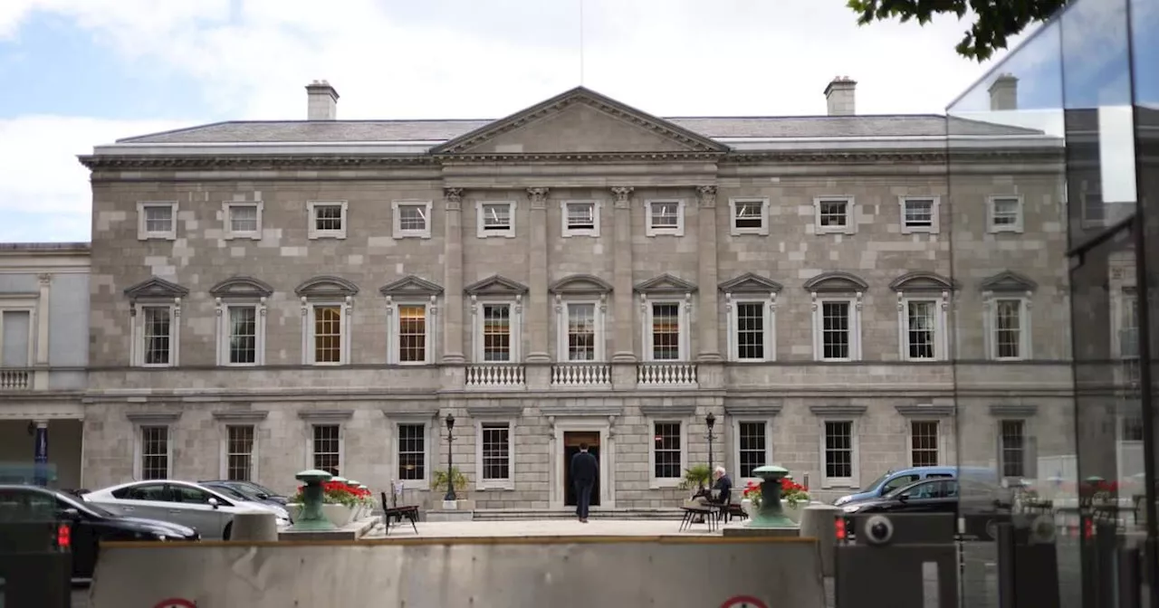 TDs, Senators advised not to drive to Leinster House before planned anti-immigration protest