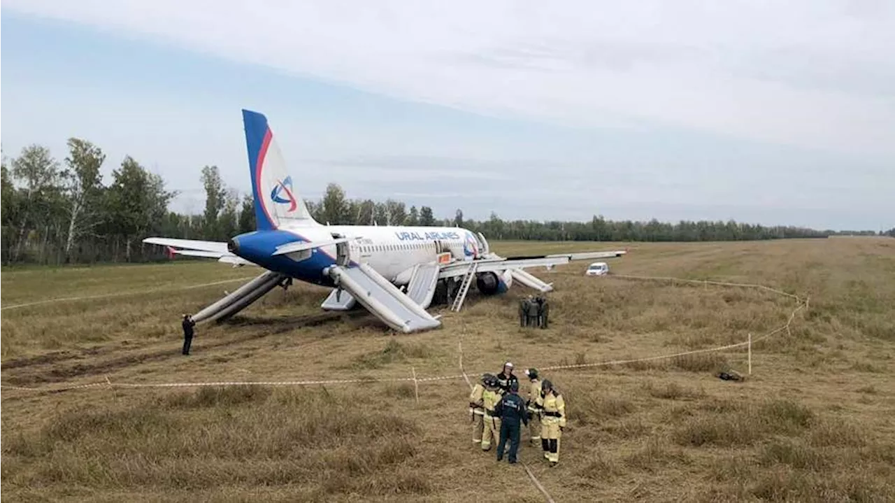 Экипаж севшего в поле под Новосибирском самолета приступил к выполнению полетов