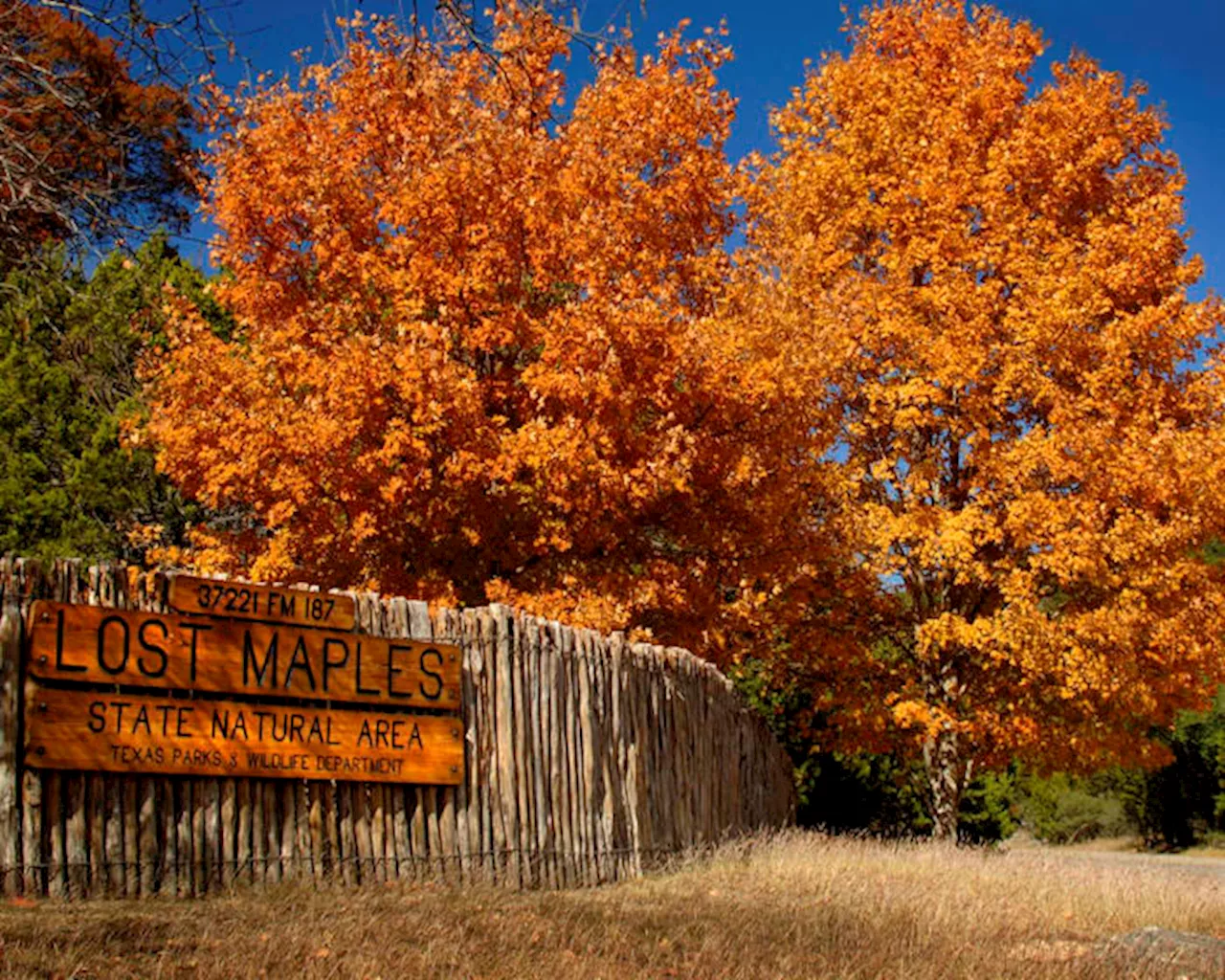 KSAT Connect: Share your colorful photos of changing skies, nature on autumn days