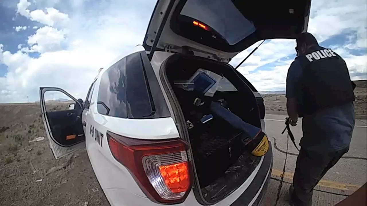 Couple recalls terrifying encounter with armed man in stolen sheriff's vehicle in Juab County