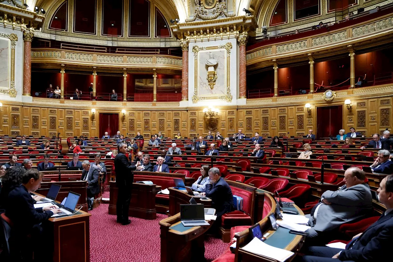 Loi immigration : compromis au Sénat sur la régularisation dans les métiers en tension