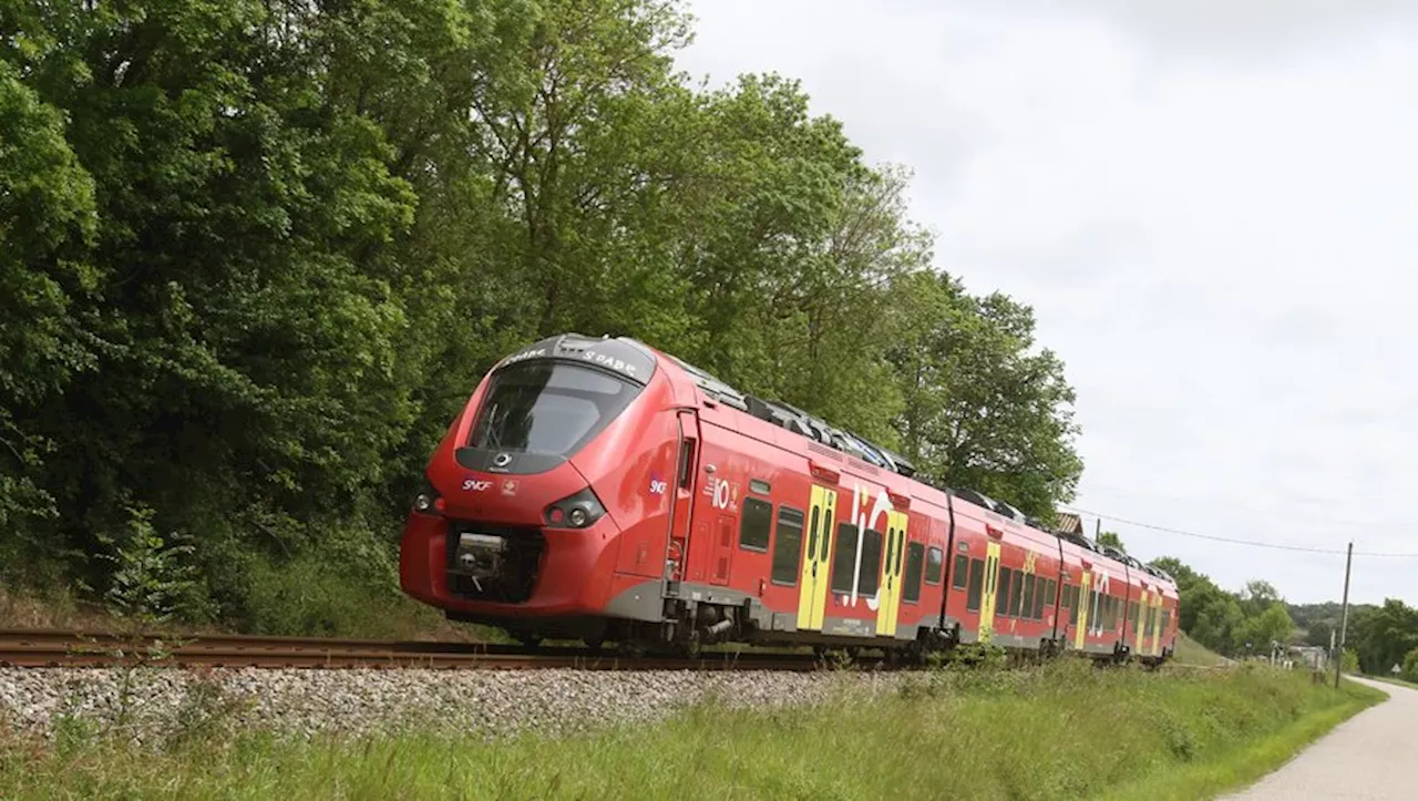 Fréquentation des trains régionaux : l'Occitanie championne de France