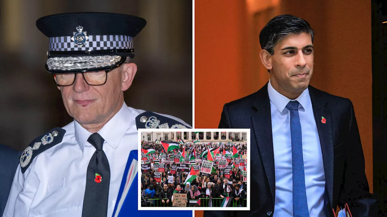 Sunak accepts 'disrespectful' and 'offensive' pro-Palestine march will go ahead on Armistice Day after...