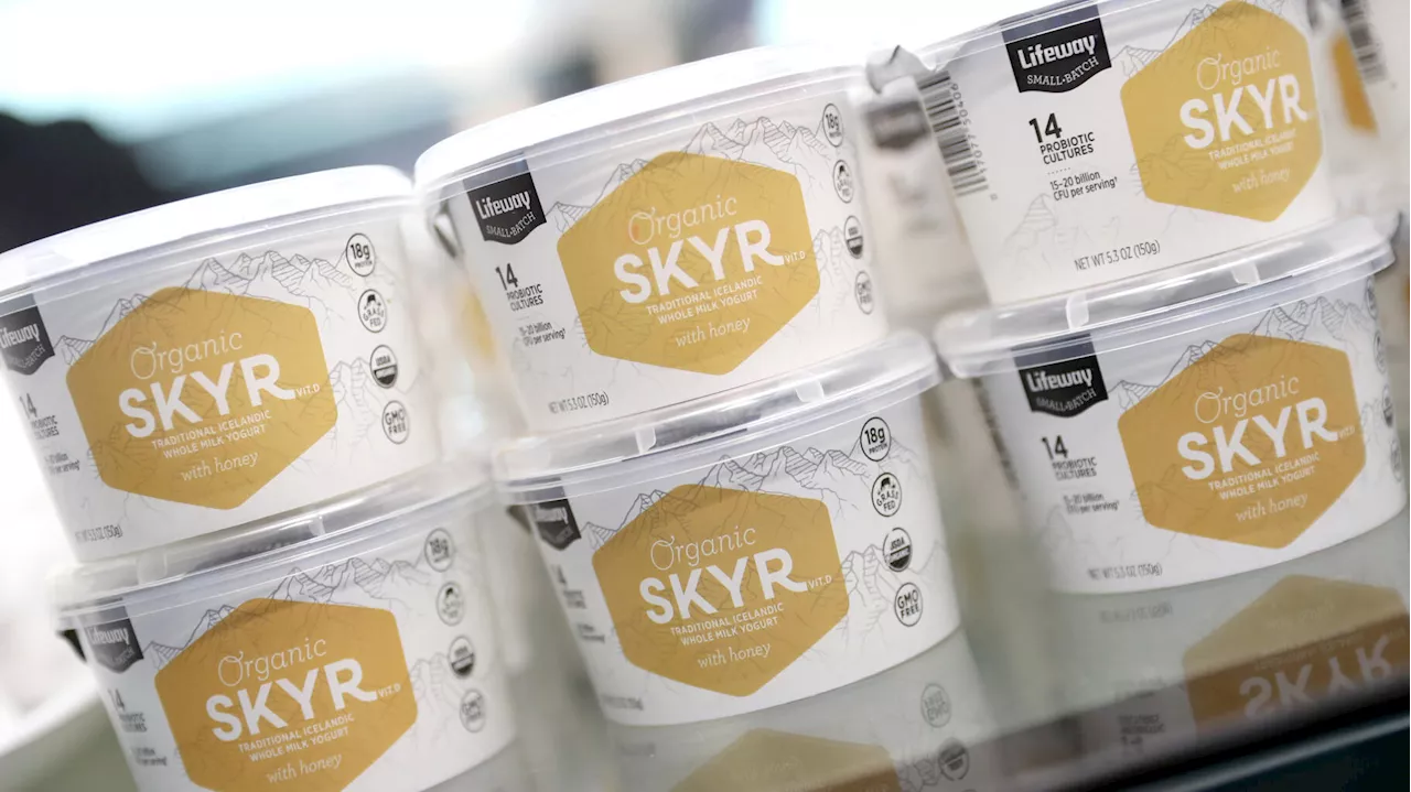 Le skyr, un yaourt trop cher et sans intérêt ? Voici des alternatives plus économiques