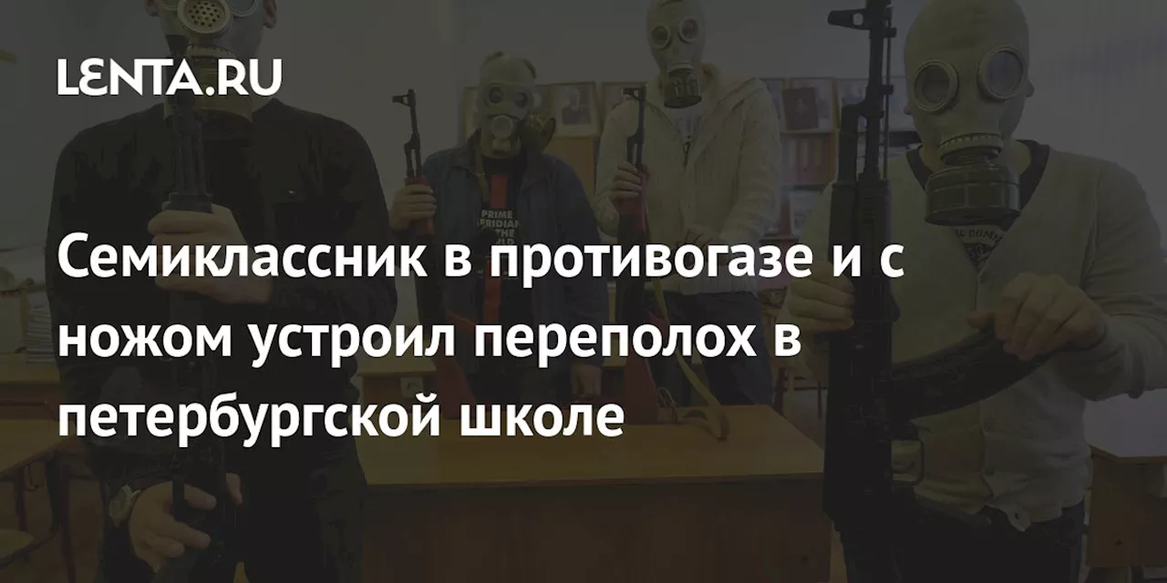 Семиклассник в противогазе и с ножом устроил переполох в петербургской школе