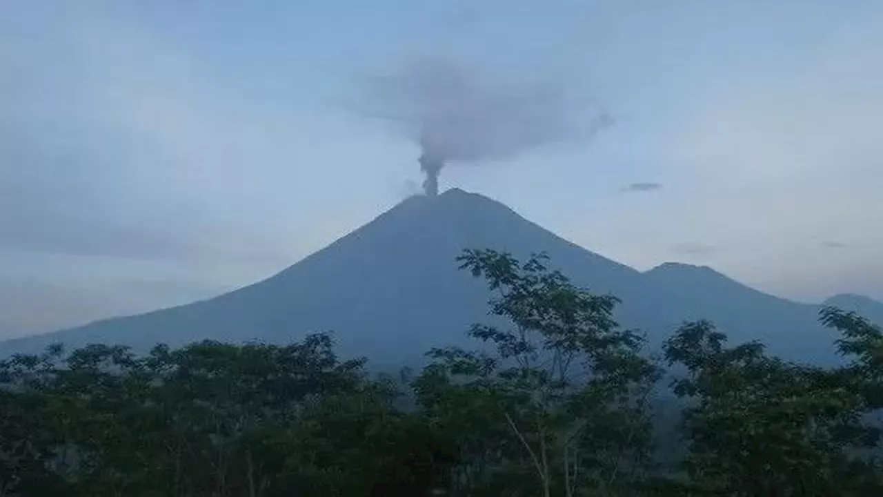 Gunung Semeru Erupsi Lagi, Luncurkan Awan Panas Sejauh 700 Meter