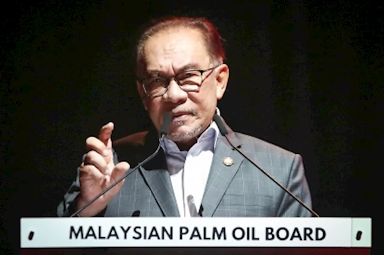 PM Anwar urges EU to recognise palm oil producing countries’ efforts in meeting deforestation-free regulation