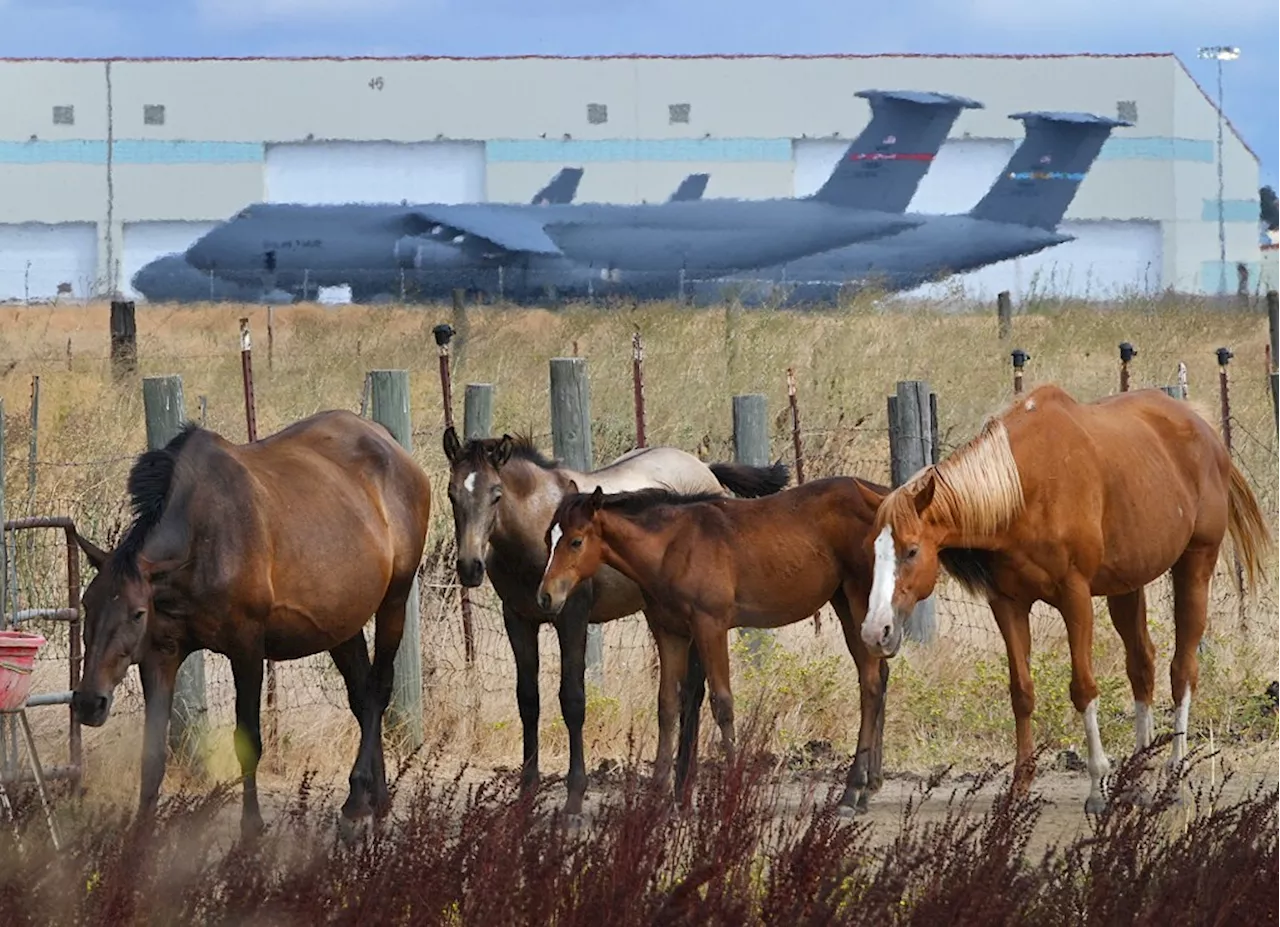 California Forever propose land exchange near Travis Air Force Base.