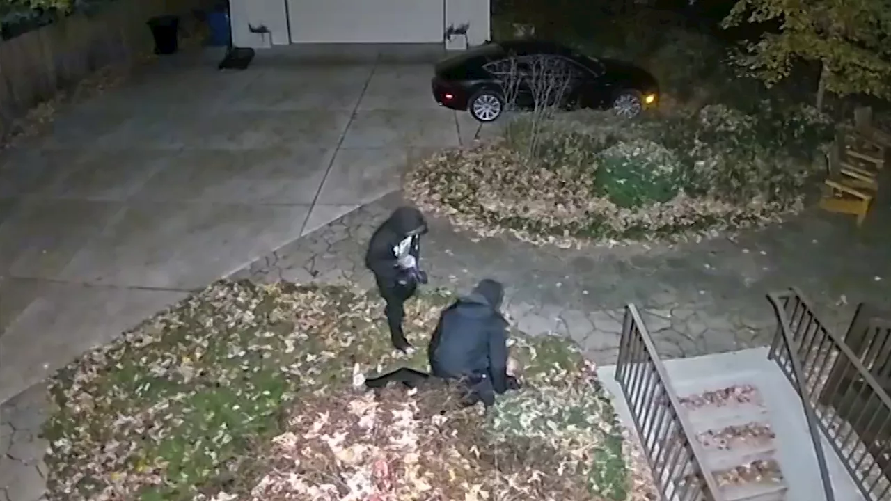 Family shares horrifying ordeal after surveillance video captures robbery outside Chicago home