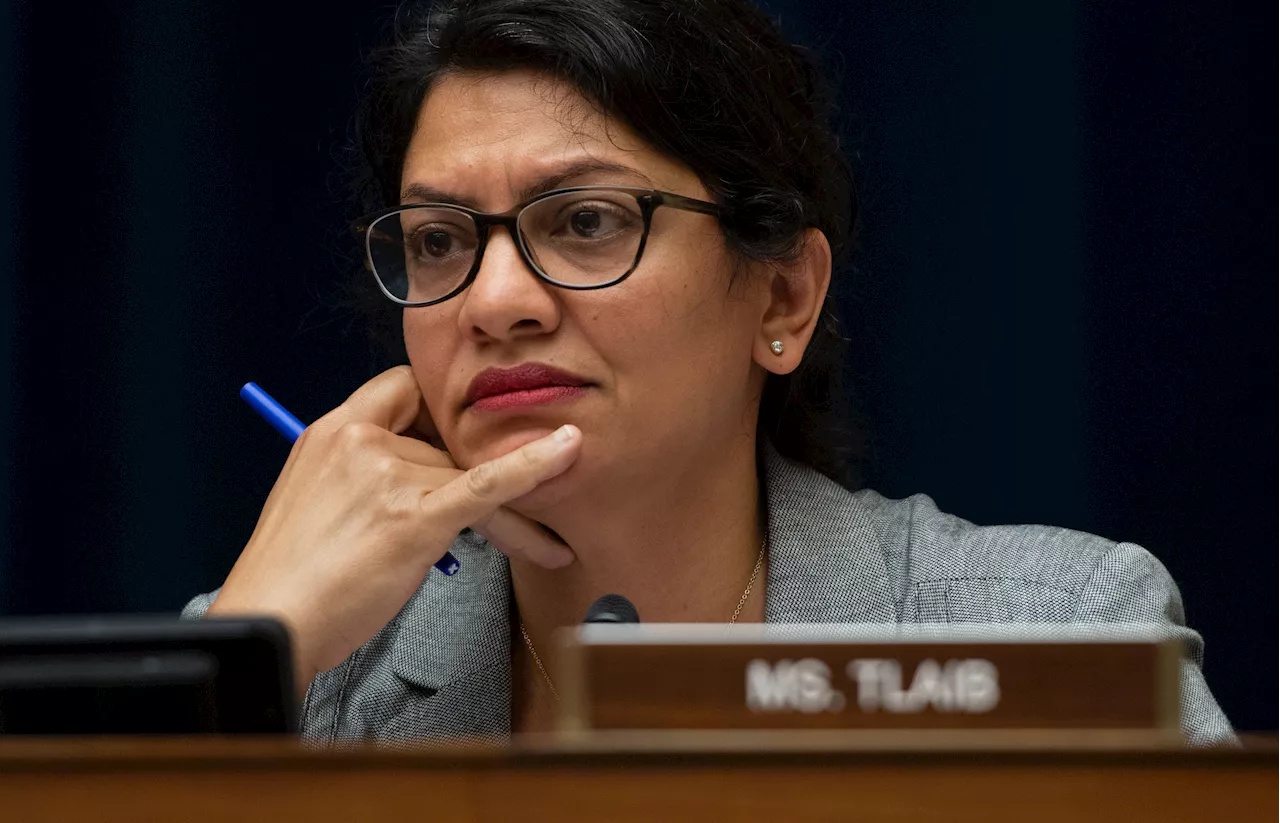 Full List of Democrats Who Voted to Censure Rashida Tlaib