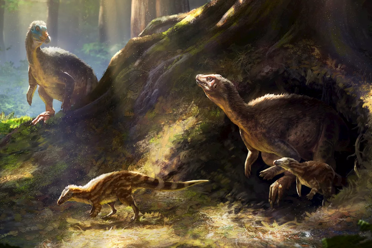 'Overlooked' Dinosaur Kept in US Museum Is Way More Amazing Than We Thought