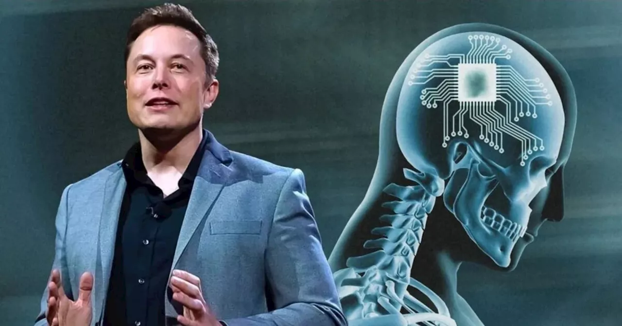 Neuralink: la empresa de Elon Musk, lista para implantar su primer chip cerebral