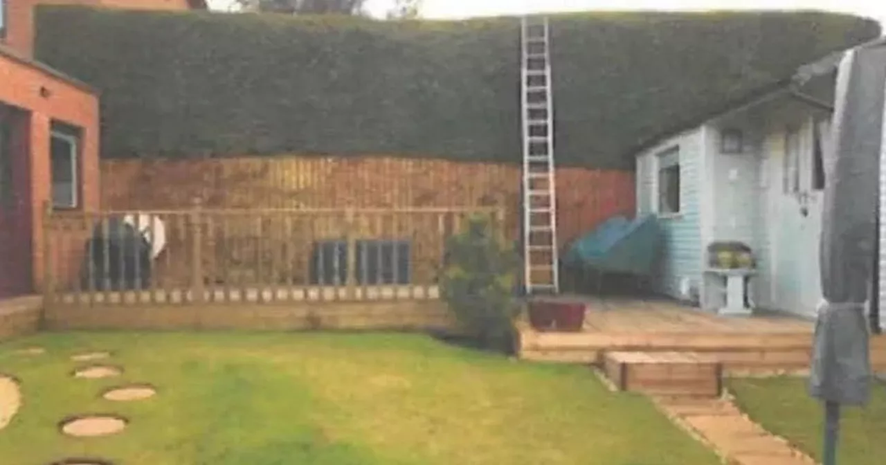 Annoyed residents 'lopped neighbour's hedge' in row over height