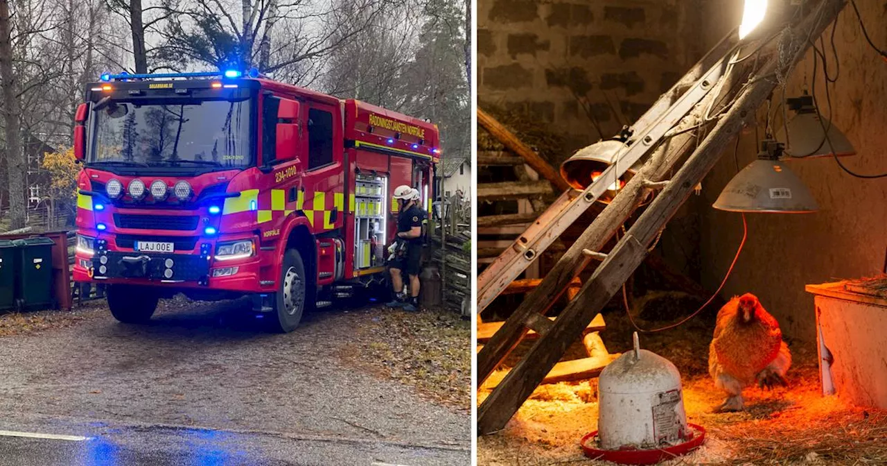 Jan Axels agerande räddade hönsen vid brandlarmet