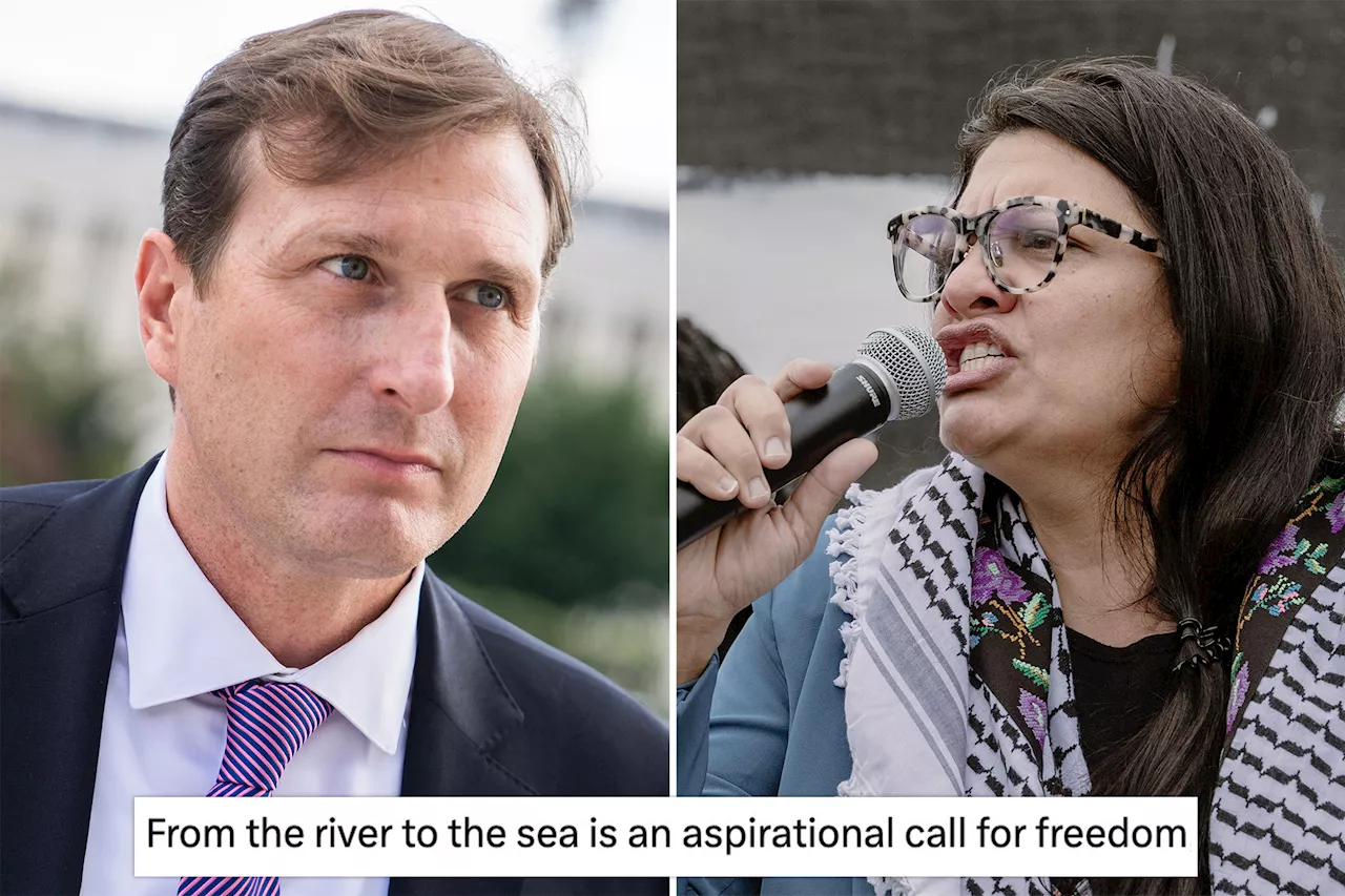 Rep. Dan Goldman rips Rashida Tlaib post-censure over 'river to the sea' excuse