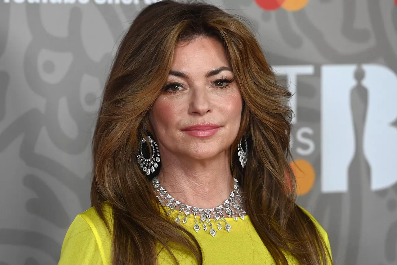 Shania Twain's tour bus involved in highway accident, several hospitalized