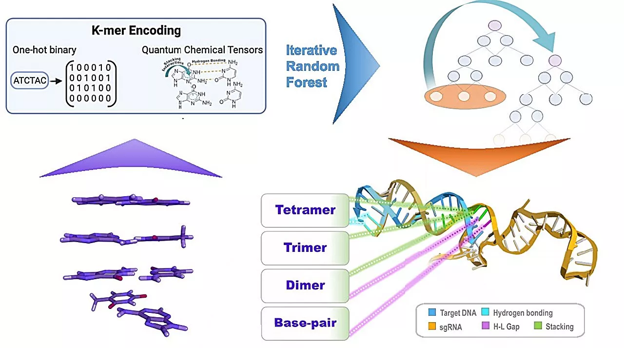 Scientists use quantum biology, AI to sharpen genome editing tool